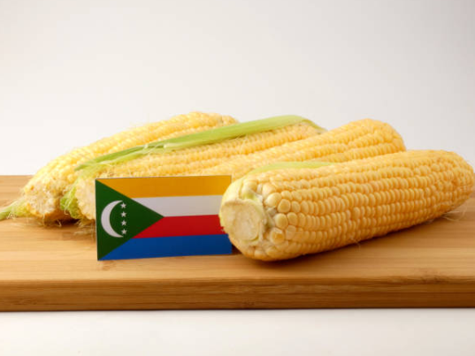 Comoros trade ministers at regional trade agreement signing