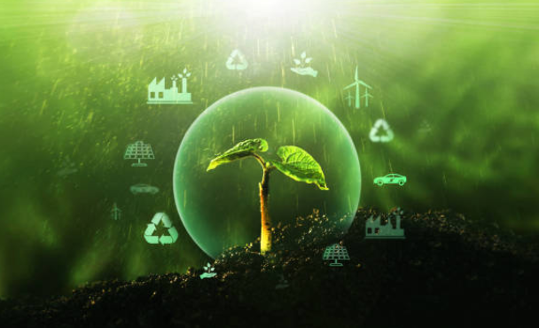 Innovation and green economy summit in Kinshasa, DRC