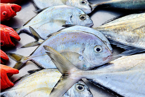 Fisheries Hub