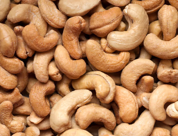 Modern cashew processing facility in Tanzania