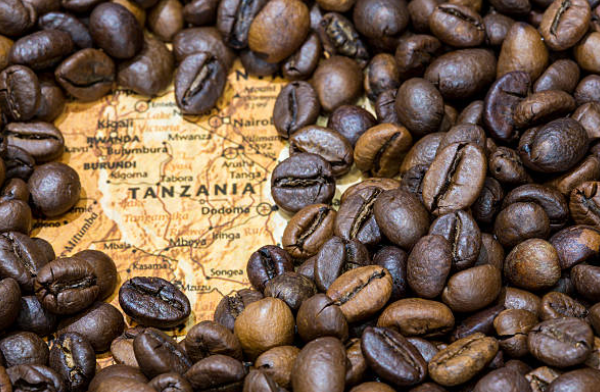 Tanzanian farm with diverse crops or an agro-processing facility