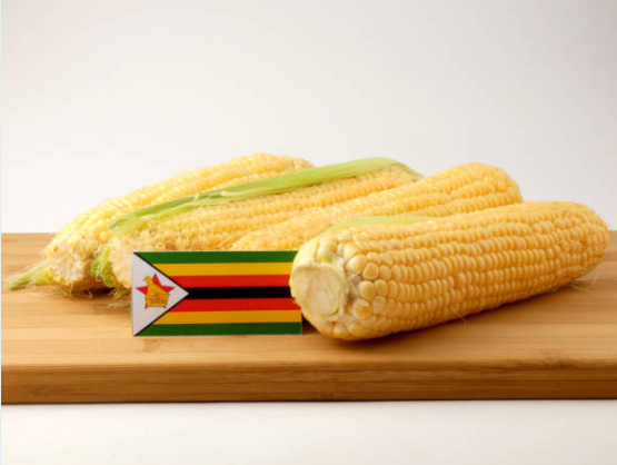 Fresh horticultural produce from Zimbabwe being packaged for export