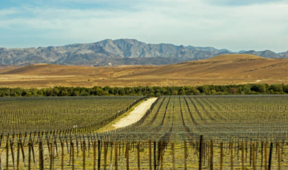 Agriculture in Namibia