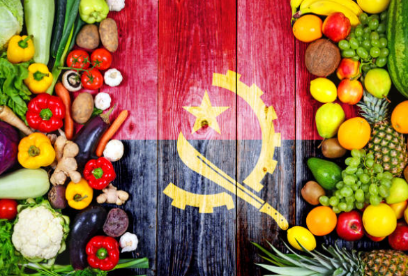 Agriculture et Transformation agroalimentaire