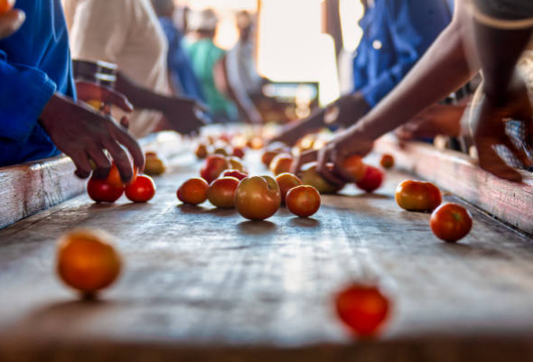 Export Diversification