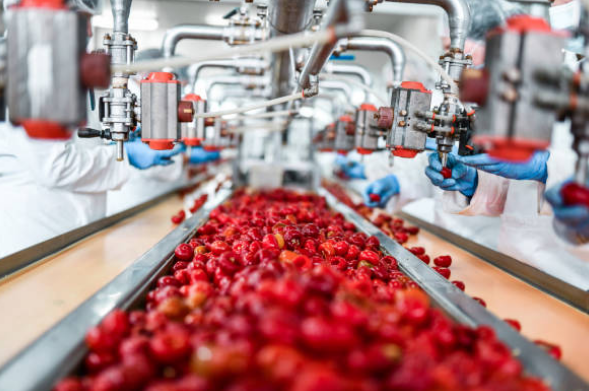 Transformation agroalimentaire (sucre, industrie forestière)