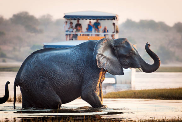 TourismTech in Botswana