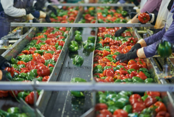 Transformation agroalimentaire