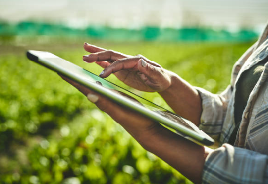 Valorisation des produits agricoles