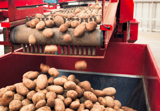 Transformation agroalimentaire