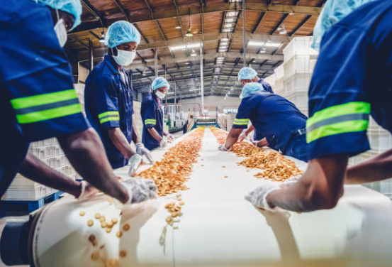 Established Manufacturing Base