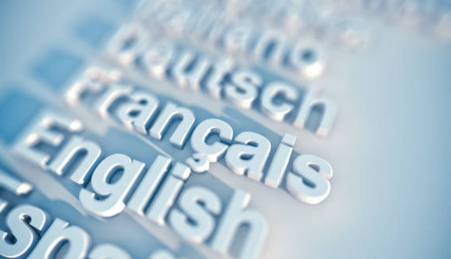 High-Skilled and Bilingual Workforce