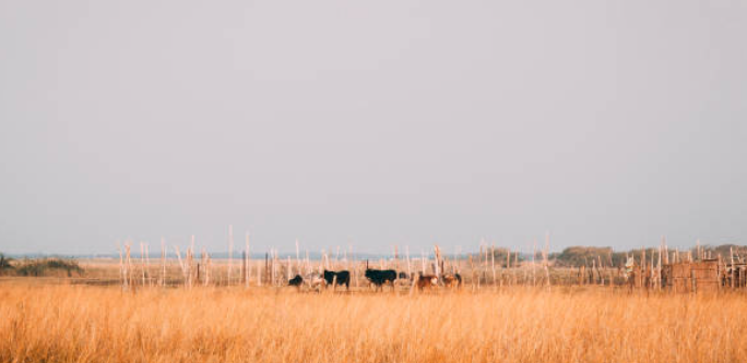 Gateway for Agricultural Trade