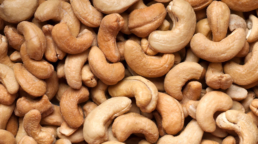 Agribusiness in Mozambique