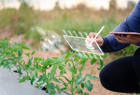 Tecnologia agrícola