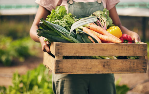 Fornecedor Regional de Alimentos