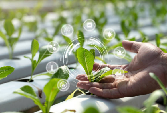 Zimbabwe Agriculture Investment