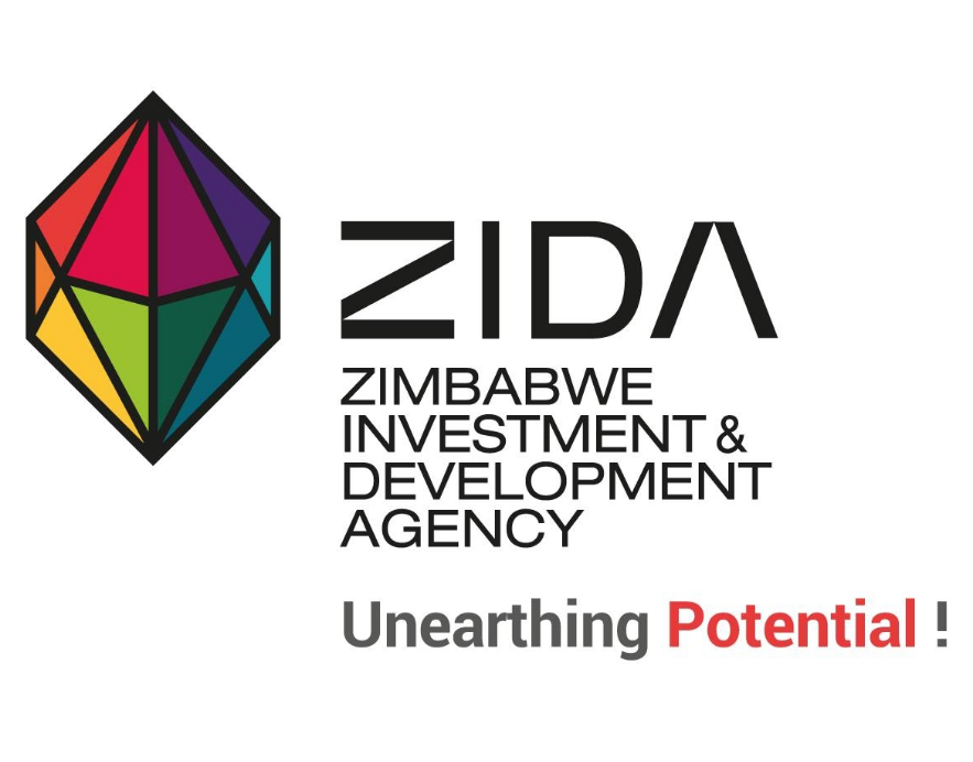ZIDA technology investment focus