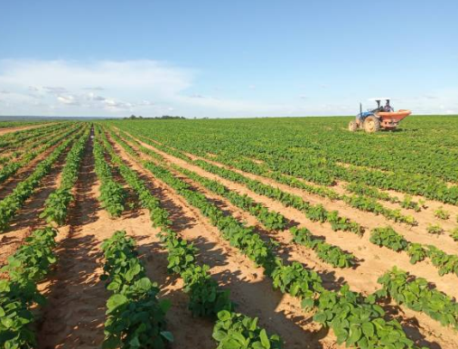 Agriculture and agro-processing in Zimbabwe