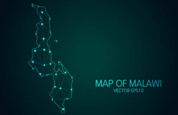 Malawi digital economy growth