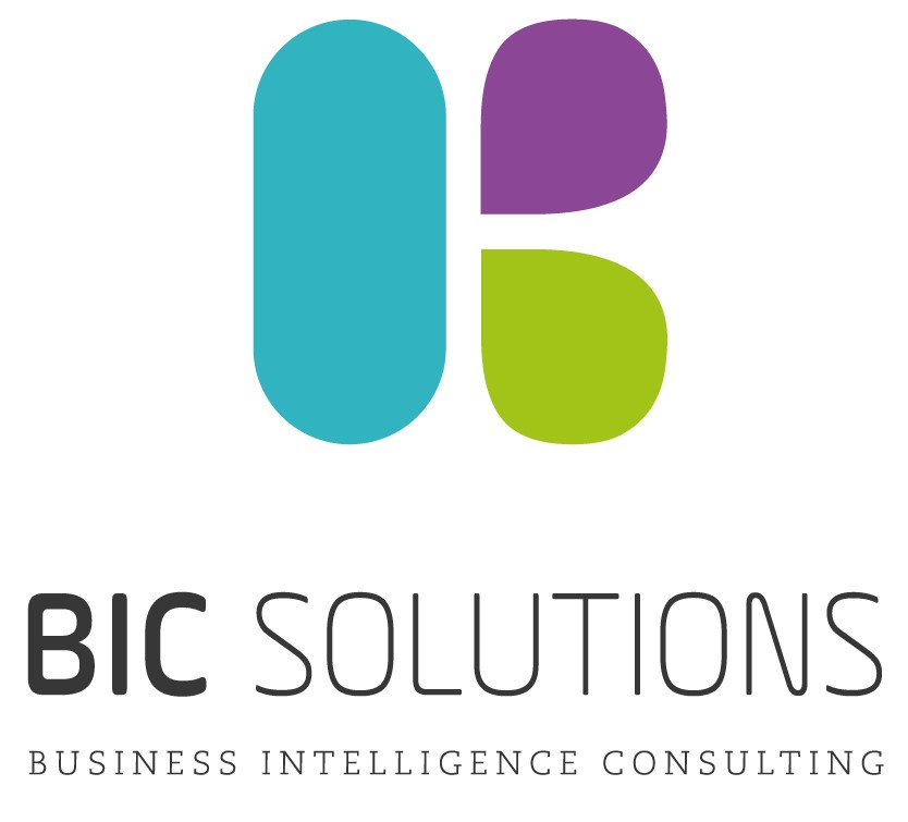 LOGO FINAL BIC SOLUTIONS-01