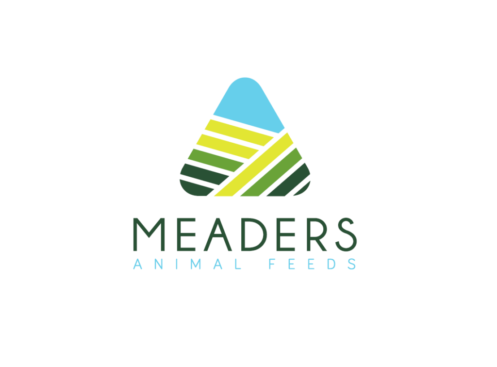 Screenshot 2025-11-25 194319