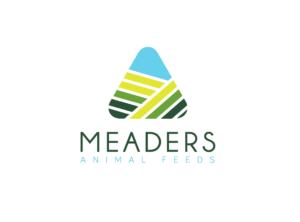 Capture d'écran 2025-11-25 194319